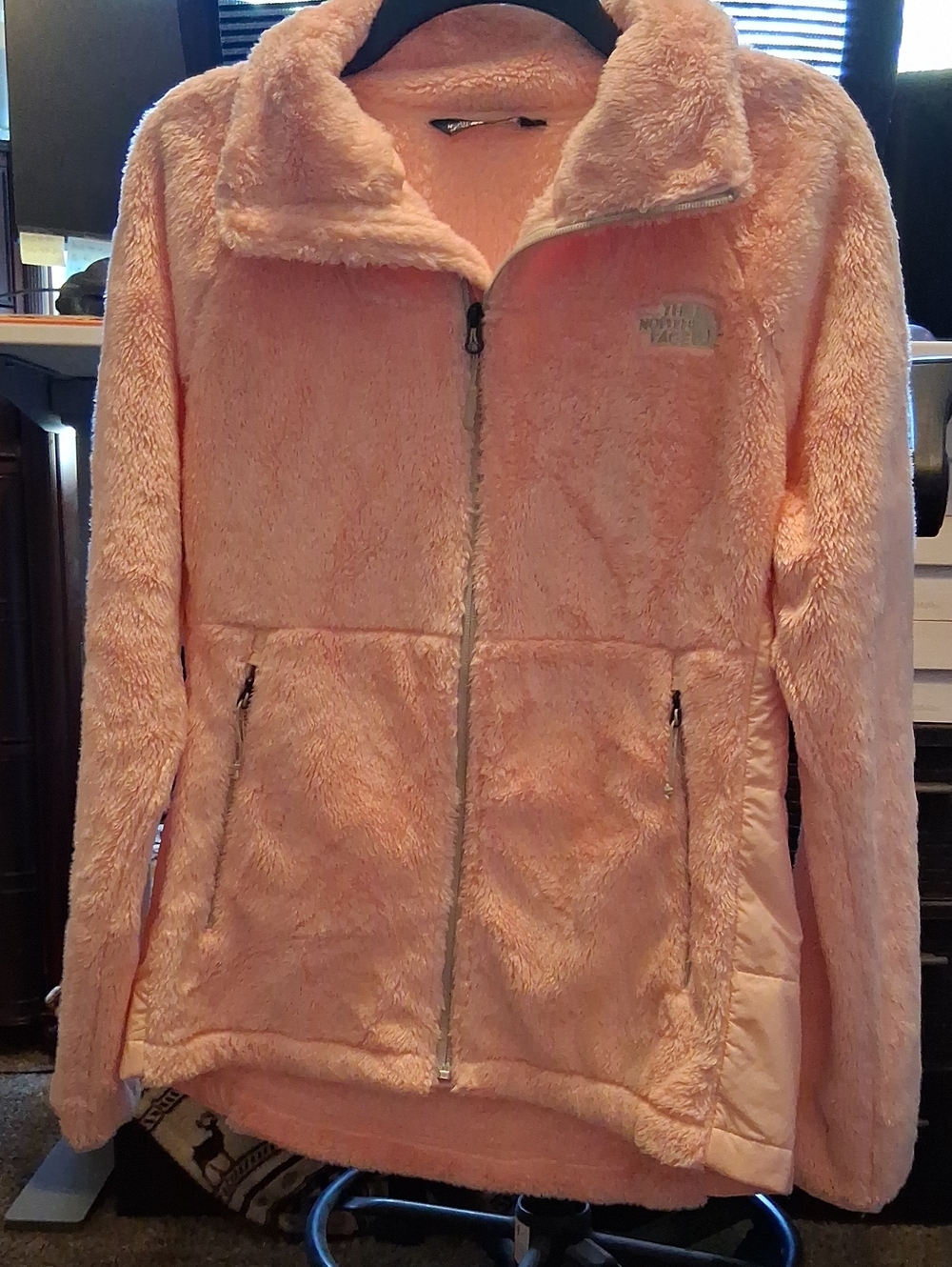 The North Face Plush Light Pink Teddy Fleece Jacket